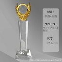 【文字彫刻無料】クリスタル トロフィー イベント スポーツ 美しく 輝く クリスタルトロフィー オーダーメイド 文字入 ロゴ 写真(レーザー加工)も可能 社内表彰・イベント・コンテストの表彰用トロフィーとして、ご利用ください。