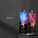 【文字彫刻無料】クリスタル トロフィー イベント スポーツ 美しく 輝く クリスタルトロフィー オーダーメイド 文字入 ロゴ 写真(レーザー加工)も可能 社内表彰・イベント・コンテストの表彰用トロフィーとして、ご利用ください。