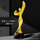 【文字彫刻無料】樹脂 イベント スポーツ 美しく 輝く クリスタルトロフィー オーダーメイド 文字入 ロゴ 写真(レーザー加工)も可能 社内表彰・イベント・コンテストの表彰用トロフィーとして、ご利用ください。