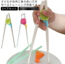 【送料無料】練習箸 ちゃんと箸 食器 左利き用 右利き用 子供 小学生 大人用 2ペアセット デラックストレーニング箸セット トレーニング箸