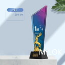 トロフィー 記念品 名入れ 彫刻 表彰 優勝 感謝 記念 賞品 デザイン カスタマイズ 透明感 高級感 オーダーメイド クリスタル ギフト イベント 表彰式 記...