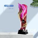トロフィー 記念品 名入れ 彫刻 表彰 優勝 感謝 記念 賞品 デザイン カスタマイズ 透明感 高級感 オーダーメイド クリスタル ギフト イベント 表彰式 記...