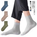 【送料無料】メッシュ ソックス プレゼント ムレない クルーソックス コットン 2足セット スニーカーソックス 履き心地 メンズ 通気性