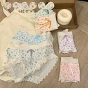 【送料無料】ショーツのみ 女子 ショーツ 美尻 睡眠ショーツ 6タイプ 大人 スタンダード セット ショーツ 女性用 ファッション 肌着(4)