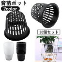 【送料無料】育苗ポット 水耕栽培ポット 30個セット メッシュポット 植木鉢 かご 容器 円筒 育苗 育成 野菜 花 植物