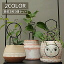 【送料無料】園芸支柱 3個セット 支柱 植物支柱 花支柱 フラワースタンド 屋内 花ささえ 観葉植物 28cm サポート 園芸 おしゃれ かわいい