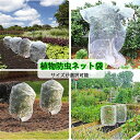 【送料無料】二枚セット 袋 野菜網 園芸野菜栽培 園芸ネット保護カバー 虫鳥除け網 防風 防虫 鳥対策 通気性 菜園プランター用