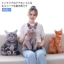 【送料無料】部屋飾り インスタ映え 撮影用 猫グッズ 誕生日 動物 キャット 猫雑貨 おしゃれ インテリア雑貨 一人暮らし 可愛い リアル 抱き枕 クッション ...