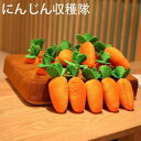 【送料無料】にんじん畑 にんじん収穫隊 ノーズワークマット 知育玩具 知育おもちゃ 0歳 1歳 2歳 誕生日プレゼント 知育 赤ちゃん ベビー 男の子 男 女の...
