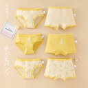 【送料無料】パンツ 女の子 子供用 キッズ ベビー ガール 女児 子どもパンツ 3枚セット 可愛い 下着 インナー きれいめ オシャレ フルーツ柄 パイナップル...