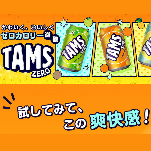 [ロッテ] LOTTE タムスゼロ アップルキウイ 炭酸飲料 / 1BOX(355ml×24缶) カロリーゼロ 箱売り 飲料 LOTTE TAMS ZERO 韓国飲物 2