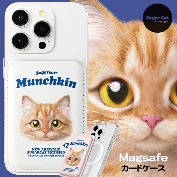 ȥ꡼100%PХå[sugarcat] MagSafe ɥ ޥ Raon / ޥǥ ޥ...
