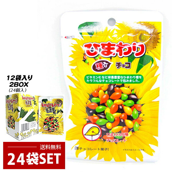 [ヘテ] 40g×24個 / ひまわり種チョコ チョコレット 韓国お菓子 ひまわりチョコ (12袋入り2BOX)