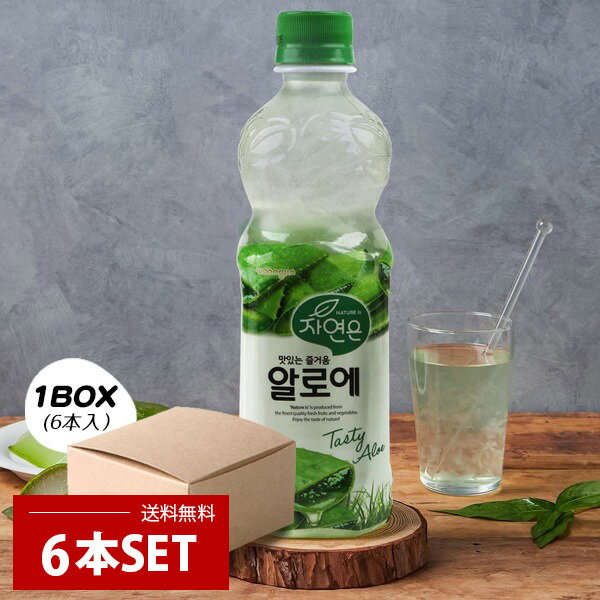 【本日エントリーで100%Pバック】[ウンジン] 500ml×6本セット /アロエジュース 韓国飲料 アロエドリンク