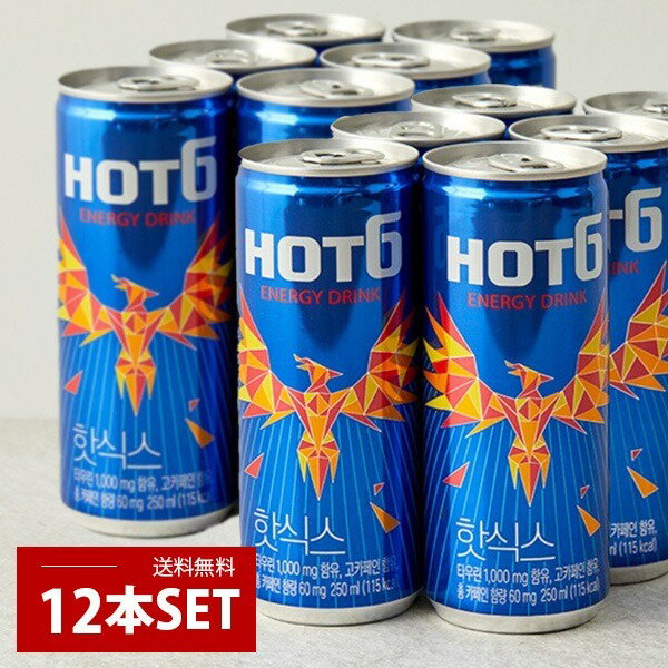 [ロッテ] LOTTE HOT6 12缶セット / (250ml×12缶) エナジードリンク 韓国ドリンク 韓国飲料 ロッテ HOT6 保存料不使用 日本バージョン