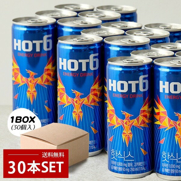 [ロッテ] LOTTE HOT6 / 1箱(250ml×30缶) エナジードリンク 韓国ドリンク 韓国飲料 ロッテ HOT6 保存料不使用 箱売り 日本バージョン