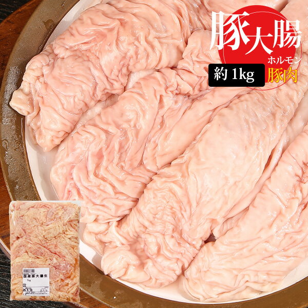 [豚肉] 国産 豚大腸 生 / 約1kg ホルモン コリコリ ホルモン鍋 もつ モツ もつ鍋 業務用 煮込み料理 焼..
