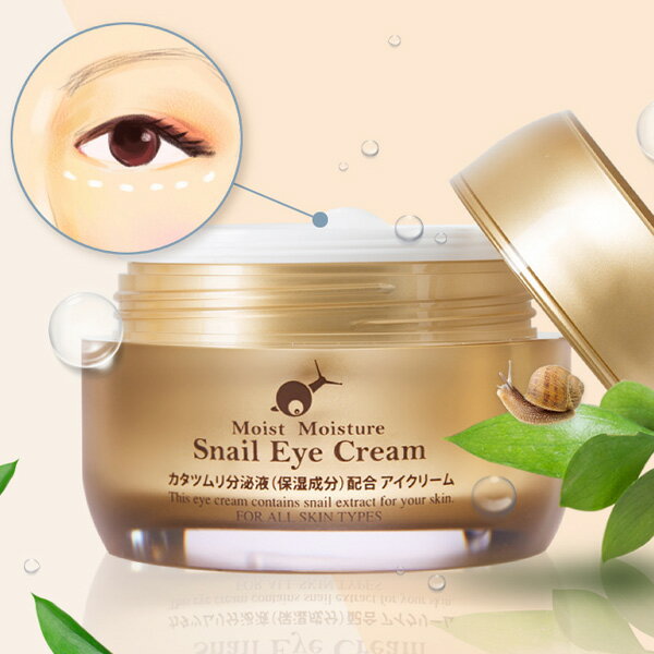 [Skin Holic]スキンホリック モイストモイスチャー スネイル アイクリーム / 30g カタツムリ 分泌液配合 目元 韓国コスメ