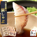 鯛しゃぶ 3人前あら3P 真鯛 鯛 マダイ タイ 活魚使用 魚しゃぶしゃぶ 鍋 水炊き 魚の水炊き 天然真鯛 刺身 鯛の切身 海鮮 たいしゃぶ 取り寄せ ご当地...