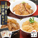 3種漬け丼 各1食入 ギフト用魚 漬け丼 漬け 海鮮丼 真鯛 漬け丼 飛魚丼 甲イカ丼 イカ丼 鯛めし 冷凍 取り寄せグルメ 天然真鯛 真鯛 鯛 たい タイ トビウオ 飛魚 甲いか 海鮮 地魚 福岡 玄界灘…