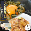 鯛漬け丼・ イカ丼 各3食 化粧箱入 ギフト 漬け丼 イカ丼 九州 海鮮丼 取り寄せ 魚 冷凍 天然真鯛 真鯛 鯛 マダイ タイ イカ コウイカ アオリイカ い...