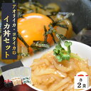 2種イカ丼セット 各2Pイカ イカ丼 漬け丼 漬け 海鮮丼 コウイカ アオリイカ 甲イカ 食べ比べ 漬け丼セット 冷凍 取り寄せグルメ 簡単 玄界灘 イカの刺身...