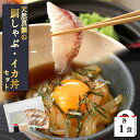 鯛しゃぶ・ イカ丼 各1食 バレンタインギフト 漬け丼 イカ丼 九州 鯛しゃぶ 海鮮丼 鍋 冷凍 天然真鯛 真鯛 鯛 マダイ タイ イカ コウイカ アオリイカ ...