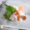 鯛の刺身・マスターネセット【天然真鯛刺身3P・マスターネ(醤油味)】 新感覚調味料 ぷちぷち食感 辛くない粒マスタード 木桶醤油 玄界灘 福岡 朝倉郡 南風 調...