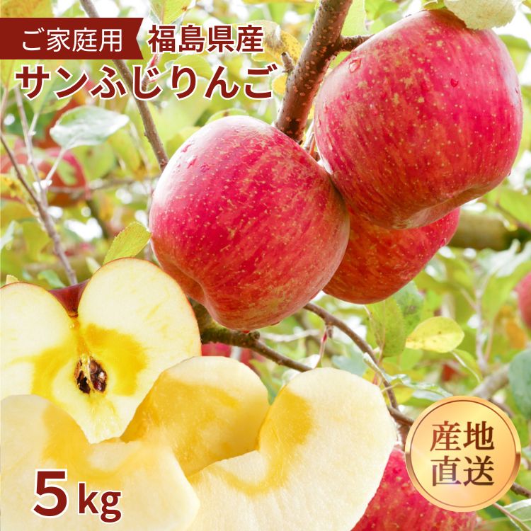 福島県産 りんご サンふじ 5k ご家庭用 訳あり お得 おすすめ リンゴ ふくしま さんふじ ふくしま 福島 飯坂 人気 林檎 果物 フルーツ 送料無料 産地直送 大玉 小玉 サイズ混在 5kのサムネイル