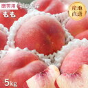 福島県産 もも あかつき 特秀 約5k16〜20玉 贈答用 産地直送 ふくしま 福島 飯坂 人気 果物 フルーツ 送料無料 お中元 ギフト プレゼント 夏 贈り...