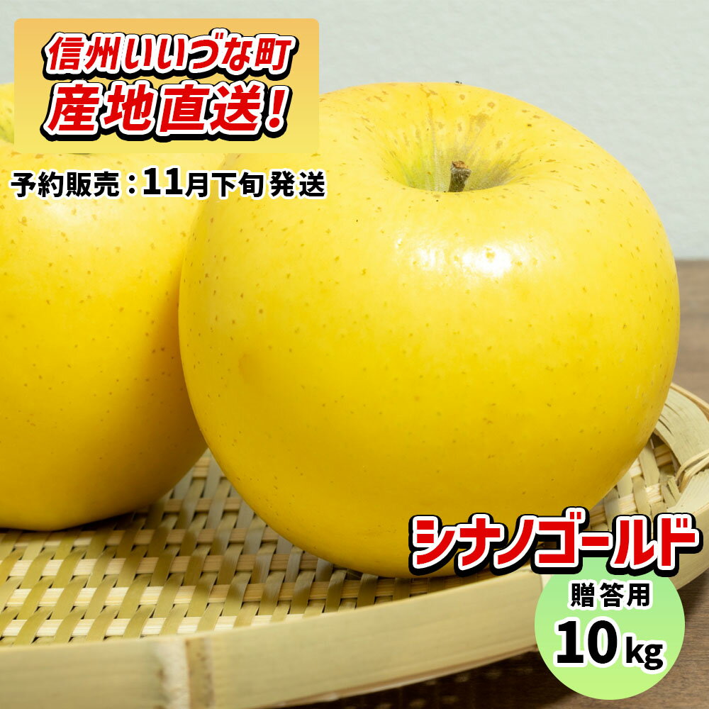 【りんご】 シナノゴールド 10kg 予約販売 11月下旬以降順次発送 3980円以上送料無料 送料無料 長野県飯綱町産 長野県飯綱町 いいづなファーム 贈答用 信州 10キロ ギフト 林檎 リンゴ 名産 特産 フルーツ 果物 りんご長野県産 長野 さわやかな風味