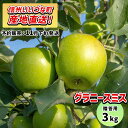 【りんご】 グラニースミス 3kg 予約販売 11月下旬以降順次発送 3980円以上送料無料 送料無料 長野県飯綱町産 長野県飯綱町 いいづなファーム 信州 3...