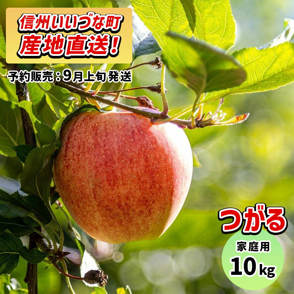 【りんご】 つがる 10kg 予約販売 9月上旬以降順次発送 長野 3980円以上送料無料 送料無料 長野県飯綱町産 長野県飯綱町 いいづなファーム 訳あり 自宅用 家庭用 信州 10キロ ギフト 林檎 リンゴ 名産 特産 フルーツ 果物 りんご長野県産 長野