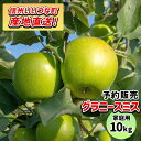 【りんご】 グラニースミス 10kg 予約販売 2025年 11月下旬以降順次発送 長野 送料無料 長野県飯綱町産 長野県飯綱町 いいづなファーム 訳あり 自宅...