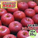 【りんご】 シナノスイート 10kg 予約販売 2025年 10月中旬以降順次発送 長野 送料無料 長野県飯綱町産 長野県飯綱町 いいづなファーム 訳あり 自宅...