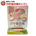 キャンディ 川中島白桃 キャンディ 70g もも 白桃 飴 あめ お菓子 3980円以上送料無料 長野県 飯綱町 いいづなファーム 信州 ギフト おやつ