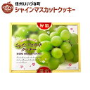 ●シャインマスカットクッキー 焼菓子 18枚 クッキー 菓子 3980円以上送料無料 長野県 信州 いいづなファーム お菓子 ギフト おやつ