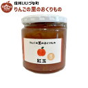 りんごジャム 紅玉 りんご ジャム 皮つき 270g 長野県 飯綱町 いいづなファーム リンゴ 林檎 信州 長野県産 ギフト 長野 瓶 リンゴジャム