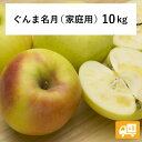 【りんご】 ぐんま名月 10kg 予約発送 2025年 11月上旬以降順次発送 送料無料 長野県飯綱町産 長野県飯綱町 訳あり 自宅用 家庭用 信州 10キロ ...