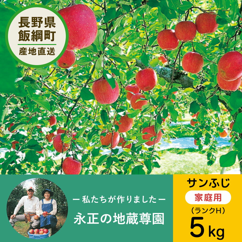 12月上旬以降発送 【りんご】 永正の地蔵尊園 サンふじ 5kg H 14～18玉 3980円以上送料無料 送料無料 長野県飯綱町産 家庭用 訳あり 信州 5キロ りんご 林檎 リンゴ 名産 特産 フルーツ 果物