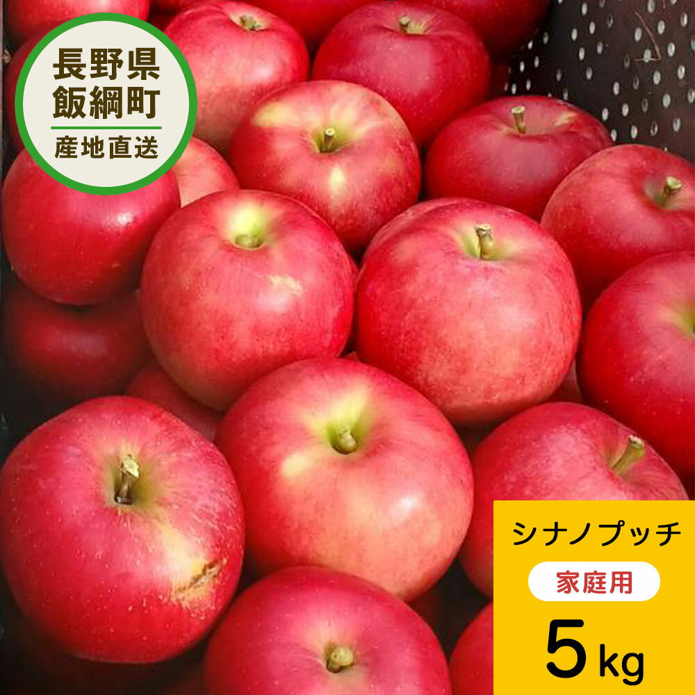  シナノプッチ 5kg 予約販売 9月下旬以降順次発送 長野 3980円以上送料無料 送料無料 長野県飯綱町産 長野県飯綱町 いいづなファーム 訳あり 自宅用 家庭用 信州 5キロ ギフト 林檎 リンゴ 名産 特産 フルーツ 果物 りんご長野県産 長野