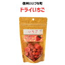 ●乾燥果実 いちご 120g ドライフルーツ ドライいちご 3980円以上送料無料 長野県 飯綱町 みつどんマルシェ 信州 ギフト
