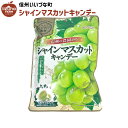 キャンデー シャインマスカットキャンデー 70g 飴 キャンディー お菓子 3980円以上送料無料 長野県 飯綱町 いいづなファーム 信州 ギフト おやつ