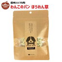 【愛犬用】 ドッグフード おやつ ほうれん草 50g わんこ 米粉パン ラスク クッキー 犬 3980円以上 送料無料 長野県 飯綱町 いいづなファーム 信州