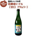 【シードル】 いいづなファーム オリジナル シードル スイート 甘口 500ml 花酵母シードル2024 ブラムリー 2024年長野県産 ギフト 長野県 信州 果実酒 アルコール りんご りんごのお酒 シードル