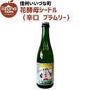 【シードル】 いいづなファーム オリジナル シードル スイート 辛口 500ml 花酵母シードル2024 ブラムリー 2024年長野県産 ギフト 長野県 信州 果実酒 アルコール りんご りんごのお酒 シードル
