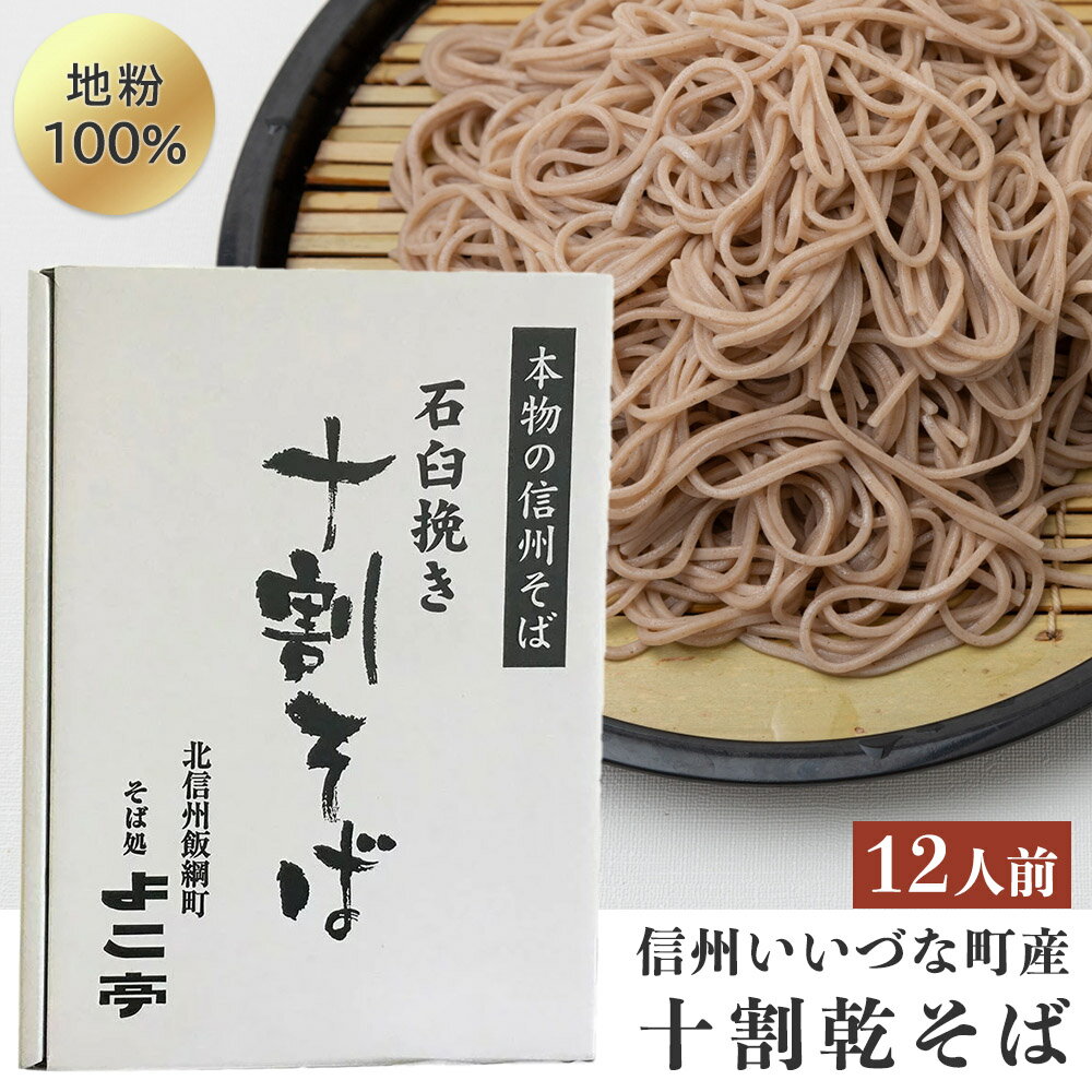 そば 十割蕎麦 12人前 乾麺 特製そばつゆ付 長野県飯 綱