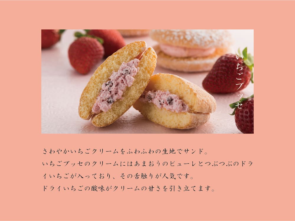 ������̵���ۡڴ��ָ���۽ե֥å��͹礻1�ʤ������֥å����������֥å���5�ġ˥��ե� �ץ����ե� ������ Ĺ�� ���ڻ� ������ �������� �βۻ�