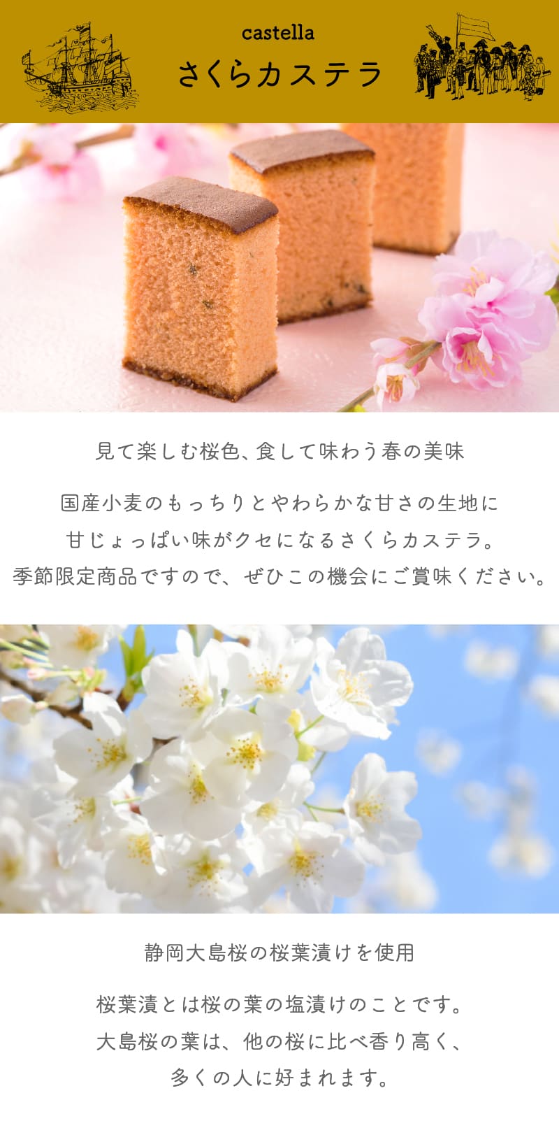 ������̵���ۡڴ��ָ���۽ե֥å��͹礻3�ʤ������֥å����������֥å������饤�������ƥ� �������5�ġ˥����ƥ� ���ե� Ĺ�ꥫ���ƥ� ����� ����� ������ Ĺ�� ���ڻ� ������ �������� �²ۻ� �βۻ� �� ������