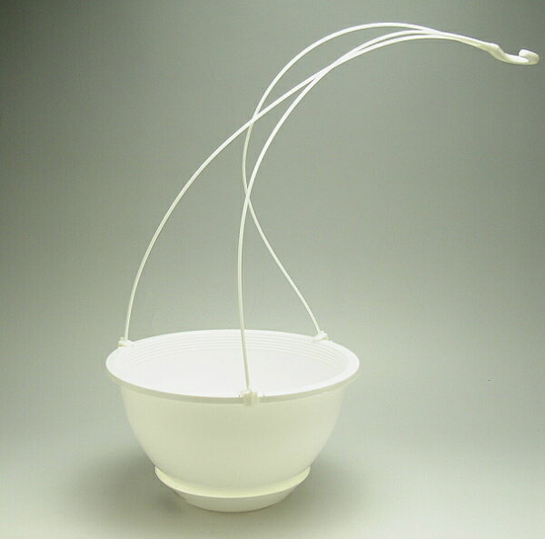 空中ガーデニングロイヤルポット　6号鉢花 観葉植物 ポトス 植木鉢 プラ鉢